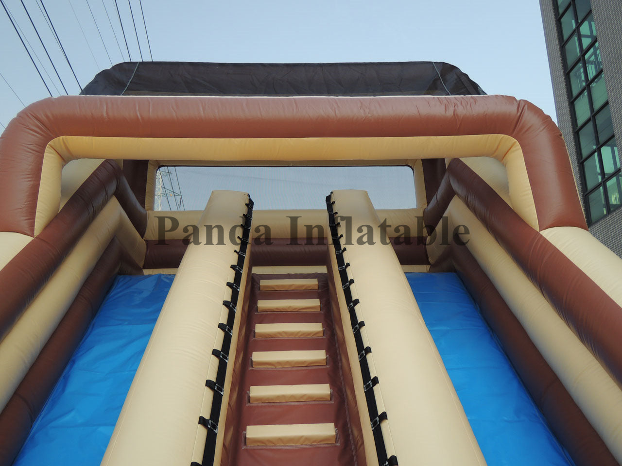 Inflatable Cactus Theme Slides