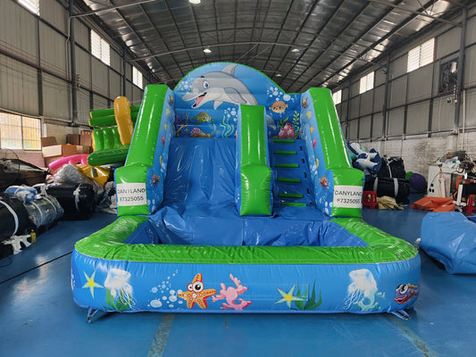 Inflatable Water Slide Aquarium Topic