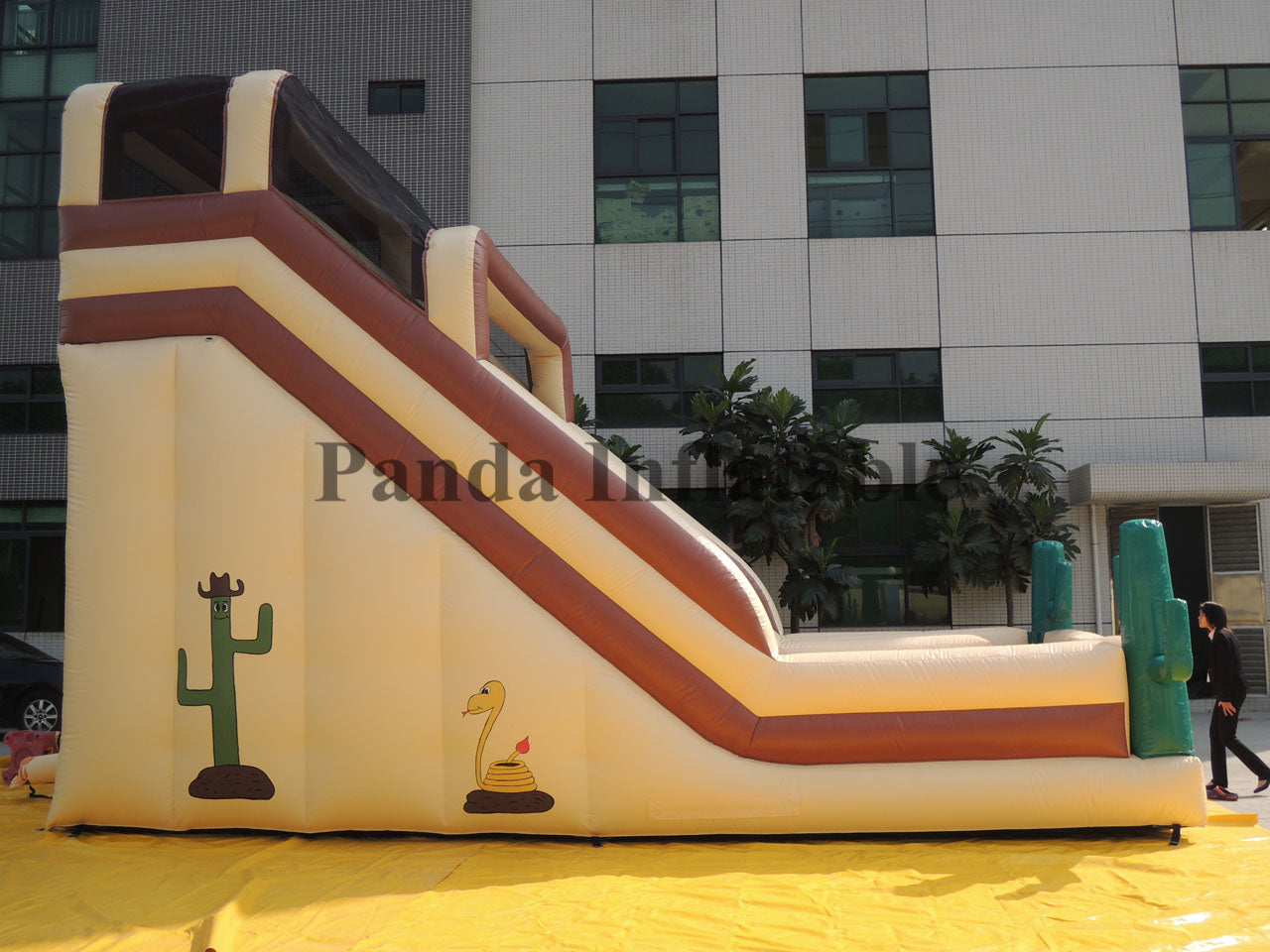 Inflatable Cactus Theme Slides