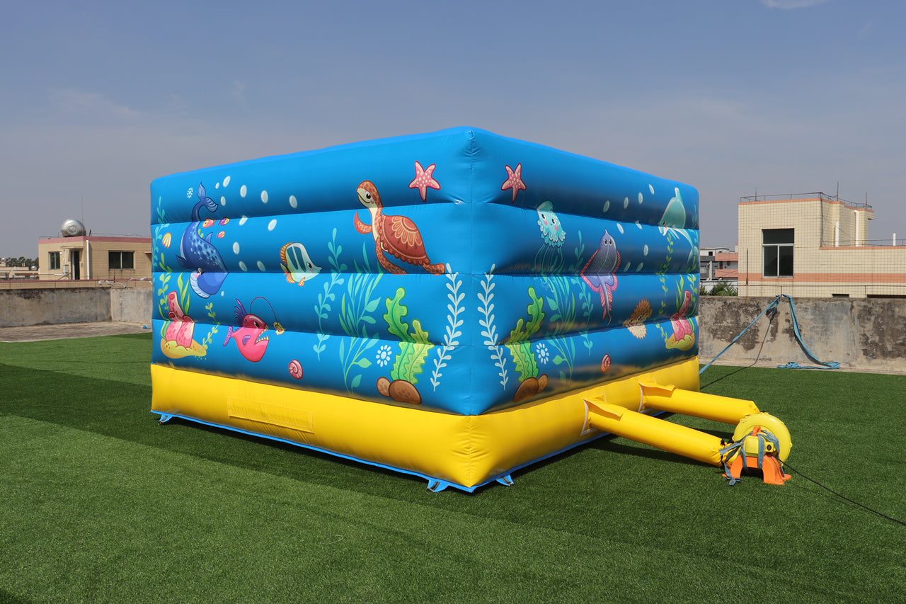 Inflatable Aquarium Park Bouncer