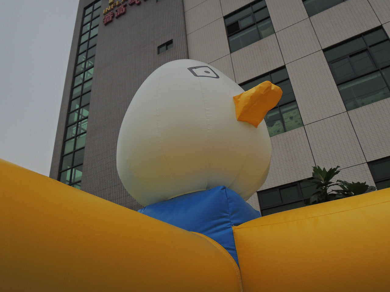 Inflatable Obstacle Course AngryBird